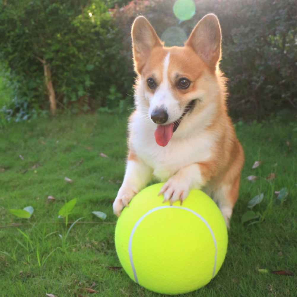 DogBall™ - Grote tennisbal voor honden