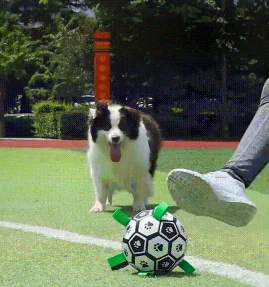 GoalPup Speelbal - Voor Honden